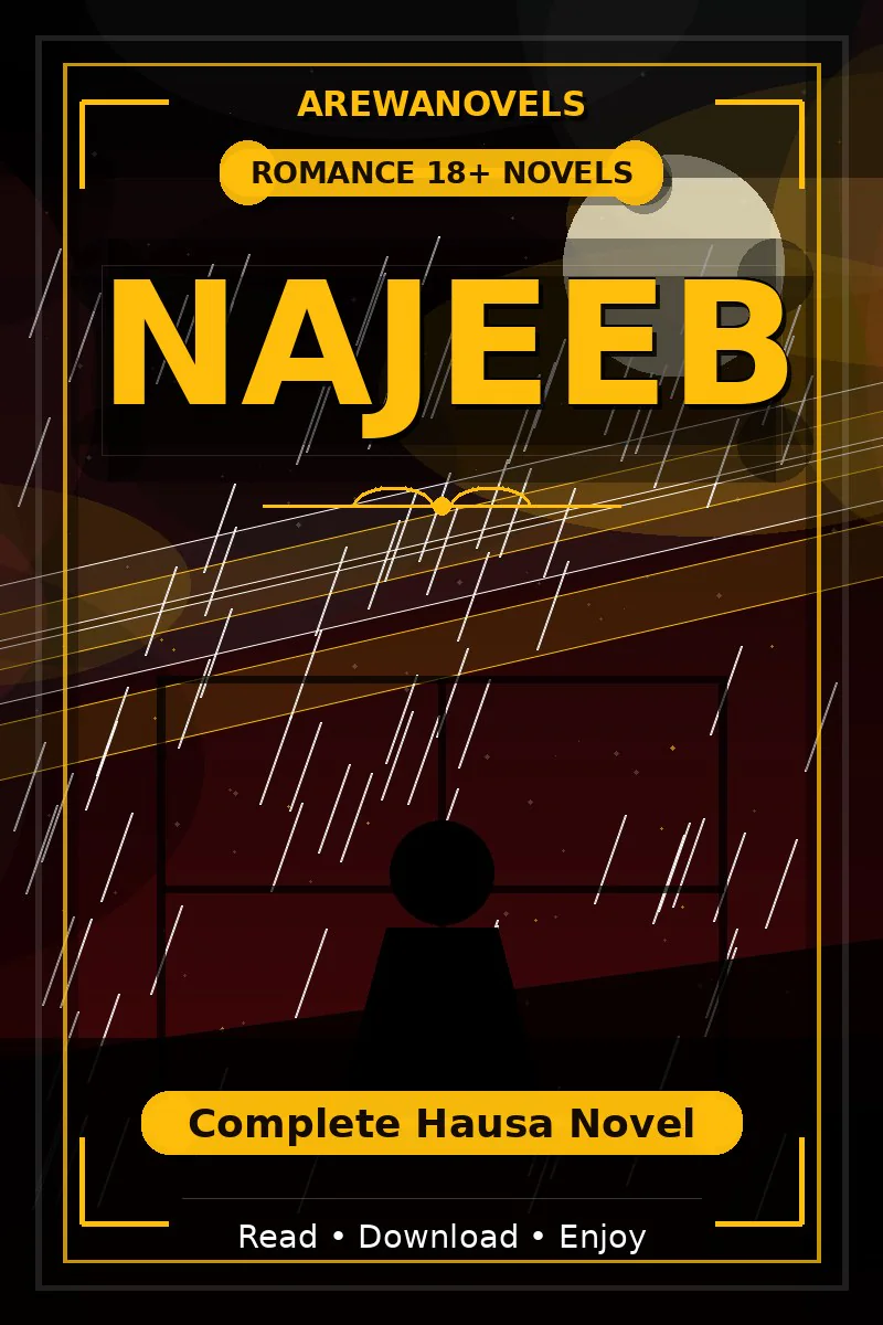 Najeeb Complete Hausa Novel