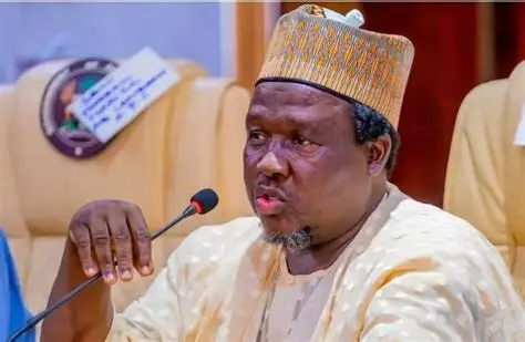 Ibrahim Kabir Masari Biography: Age, Career and Political Affairs